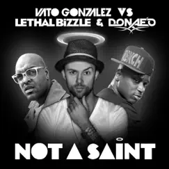 Not a Saint (Skitzofrenix Remix) Song Lyrics