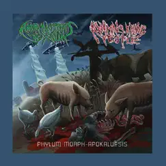Phylum Morph-Apokalupsis by Animals Killing People & Adromorphus Rexalia album reviews, ratings, credits