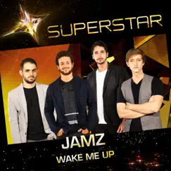 Wake Me Up (Superstar) Song Lyrics
