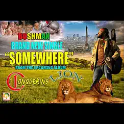 Somewhere - Single by Bushman album reviews, ratings, credits