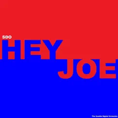 Hey Joe - Single by The Seattle Digital Orchestra album reviews, ratings, credits