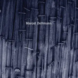 Range EP by Marcel Dettmann album download