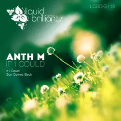 If I Could - Single by Anth M album reviews, ratings, credits