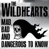 Mad Bad and Dangerous to Know (Live) album lyrics, reviews, download