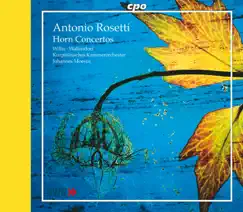 Horn Concerto in E Major, C. 50 / III:44: III. Rondo. Allegretto Song Lyrics