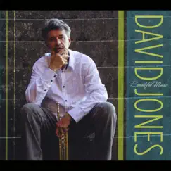 Beautiful Music by David Jones album reviews, ratings, credits