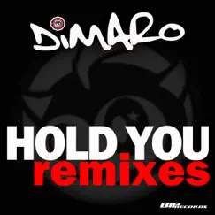 Hold You (feat. Nick Dierickx, Wouter Van Boxstael, Mario Willems, Sammy Merayah) - Single by DiMaro album reviews, ratings, credits