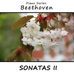 Sonata No. 14 in Des Major, Opus 27 No. 2: III. Presto Agitato (Mondscheinsonate, Sonata quasi una Fantasia) Song Lyrics