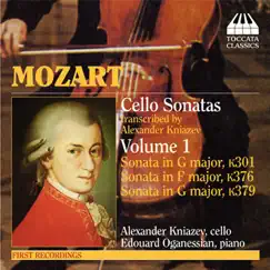 Violin Sonata No. 24 in F major, K. 376 (arr. A. Kniazev): II. Andante Song Lyrics