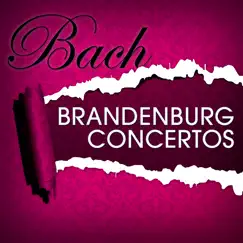 Brandenburg Concerto No.6 in B Flat Major, BWV 1051: II. Adagio ma non tanto Song Lyrics