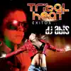 Tribal Heat Éxitos album lyrics, reviews, download