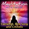 Campfire, Bird Song and Crickets album lyrics, reviews, download