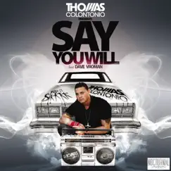 Say You Will (feat. Dave Vroman) [Club Mix] Song Lyrics