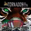 Tributo a los Tigres album lyrics, reviews, download