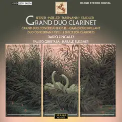 Grand Duo Brillant for Clarinet and Piano: I. Maestoso - Andante appassionato Song Lyrics