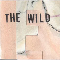 The Wild Song Lyrics