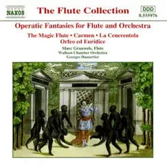 Flute Concerto in C Major: I. Allegro Song Lyrics