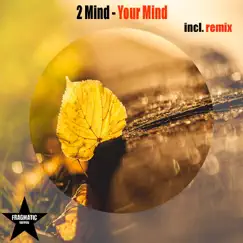 Your Mind - Single by 2 Mind album reviews, ratings, credits