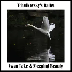 Swan Lake, Op. 20: No. 5, The Black Swan Pas de Deux: I. Intrada Song Lyrics