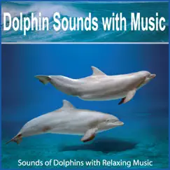 Dolphin Sounds With Relaxing Music Song Lyrics