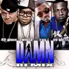 Damn (feat. Ray J, Twista and Gotti) [Remix] [Remix] song lyrics