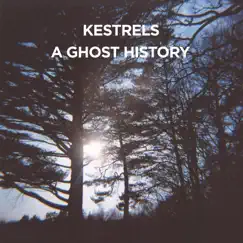 A Ghost History by Kestrels album reviews, ratings, credits