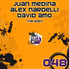 The Wish - Single by Juan Medina, Alex Nardelli & David Amo album reviews, ratings, credits