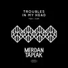 Troubles In My Head (feat. Siam) - Single album lyrics, reviews, download