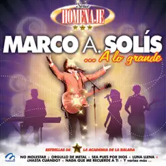 Serie Homenaje: Marco A. Solis? A Lo Grande by Roberto Guillen & Grupo Lluvia album reviews, ratings, credits