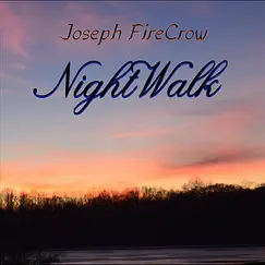 Night Walk Song Lyrics