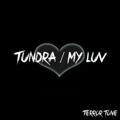 Tundra (Ragga Twins Vocal Mix) Song Lyrics