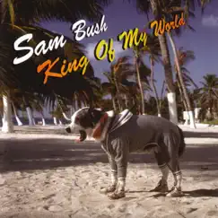 King of My World by Sam Bush album reviews, ratings, credits