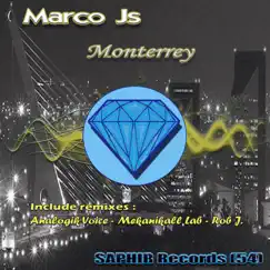 Monterrey (Rob J. Remix) Song Lyrics