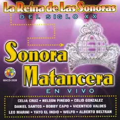 Amor Sin Esperanza (En Vivo) Song Lyrics