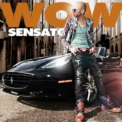 Wow - Single by Sensato album reviews, ratings, credits