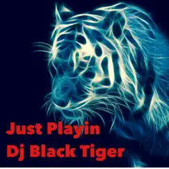 Just Playin - Single by Dj Black Tiger album reviews, ratings, credits