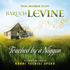 Touched By a Niggun by Baruch Levine album reviews, ratings, credits