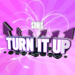 Turn It Up (Bonebreaker onE Remix) Song Lyrics