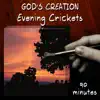 Evening Crickets (90 Minutes) album lyrics, reviews, download
