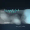 Beautiful Robots - Single album lyrics, reviews, download