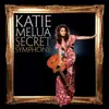 Secret Symphony album lyrics, reviews, download