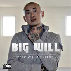 Cry Now Laugh Later by Big Will album reviews, ratings, credits