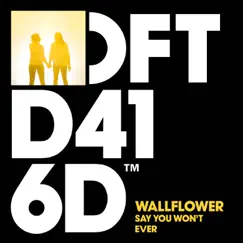 Say You Won't Ever by Wallflower album reviews, ratings, credits
