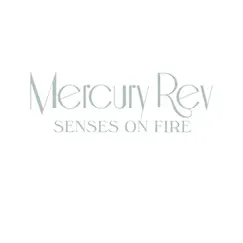 Senses On Fire - Single by Mercury Rev album reviews, ratings, credits
