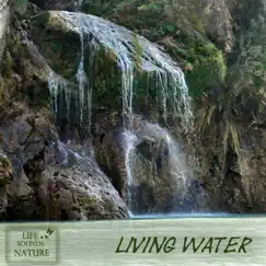 Living Water - Your Sound for Relaxation and Meditation by Life Sounds Nature album reviews, ratings, credits