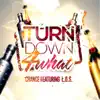 Turn Down 4 What (feat. L.O.S) - Single album lyrics, reviews, download