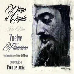 Los Besos de Verdad (feat. Diego del Morao) [En Vivo] [Fandangos Naturales] Song Lyrics