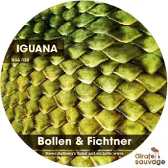 Iguana - Single by Bollen & Fichtner album reviews, ratings, credits