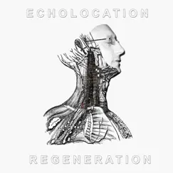Regeneration by Echolocation album reviews, ratings, credits