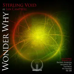 Wonder Why (feat. Ian Campbell) by Sterling Void album reviews, ratings, credits